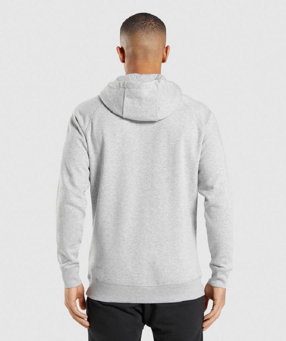 Sudadera Con Capucha Gymshark Crest Hombre Gris Claro | CO 3613SGL